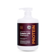 박준 LPP 단백질 무실리콘 약산성 샴푸 1000ml
